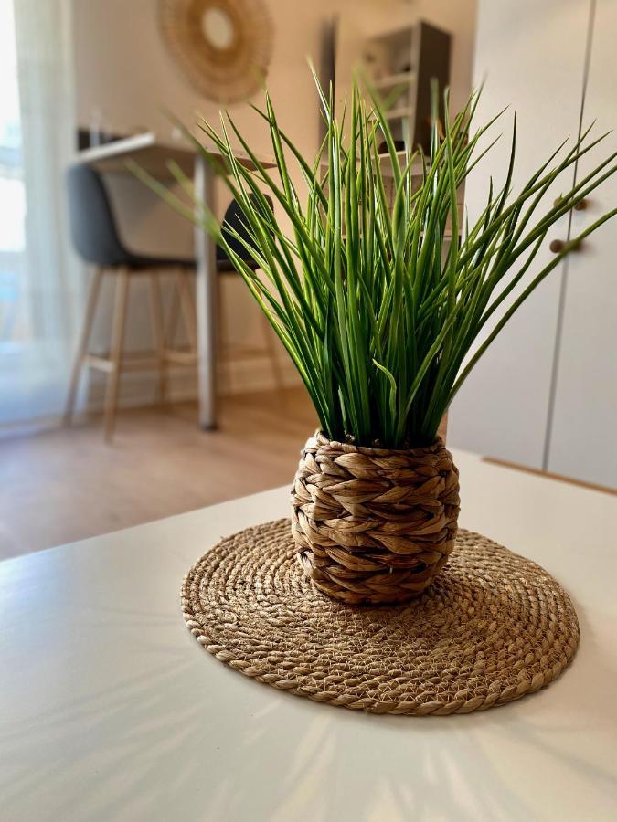 Cosy Break Jardins Des Plantes Apartment Льо Ман Екстериор снимка